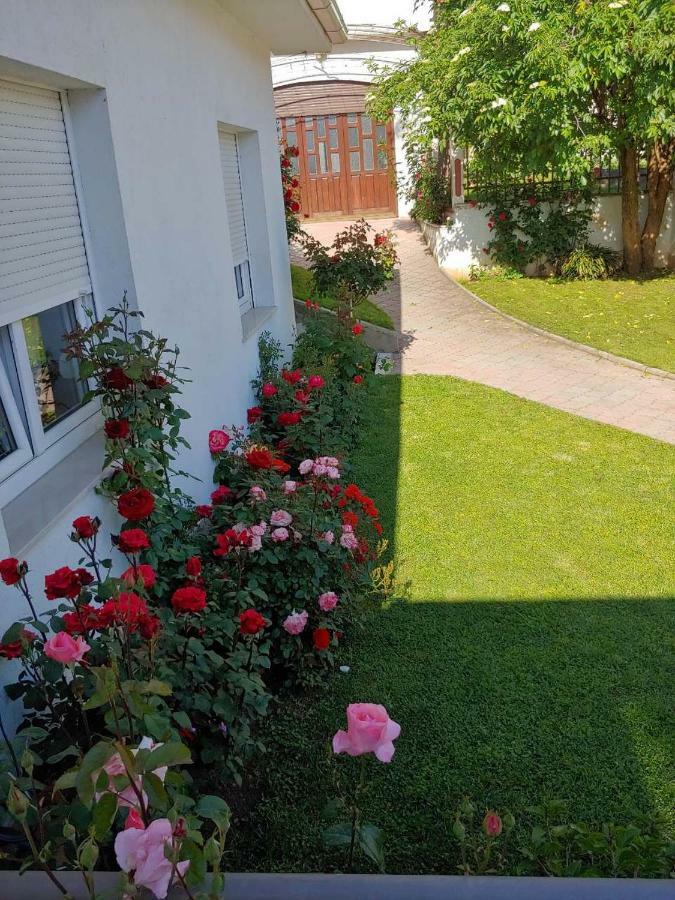 Apartments Tulipan - With Free Private Parking Garage Mostar Exterior foto
